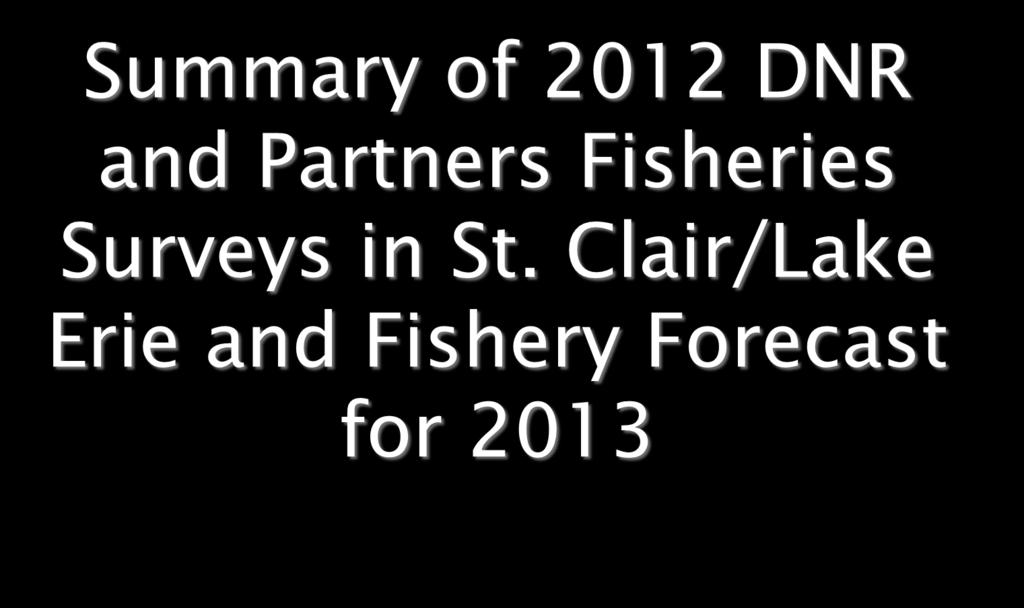 Summary of 2012 DNR and Partners Fisheries Surveys in St.