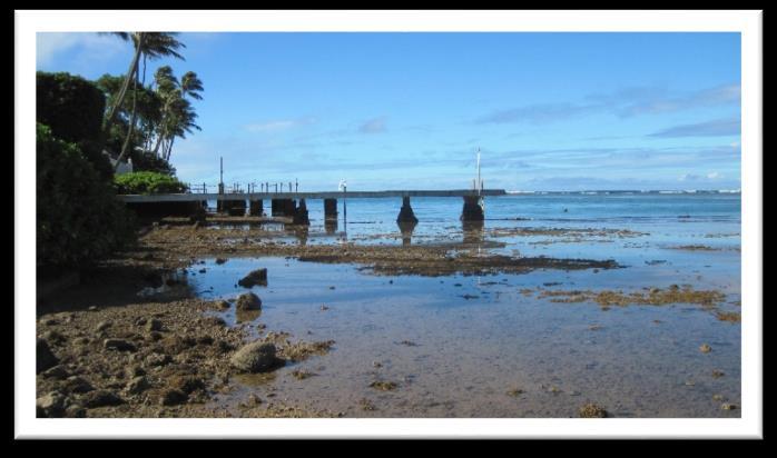 OBJECTIVE: Linkage between estuaries and coral reefs in the Hawaiian Islands Estuaries, Seagrasses, and Coral Reefs: Gradients in an Urban Watershed Maunalua Bay in East Honolulu offers an