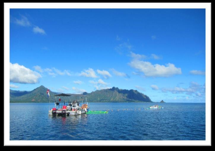 Kaneohe Bay Coral Reef Restoration: Identifying and Removing Aquatic Invasive Species Reactive measures are being taken to mitigate aquatic invasive species (AIS) on Hawaiian coral reefs.