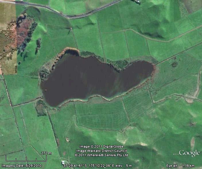 9 N Figure 1. Map of Lake Ohinewai (picture from http://maps.google.co.nz). The substrate of Lake Ohinewai is relatively coarse compared to surrounding lakes and is predominantly sand.