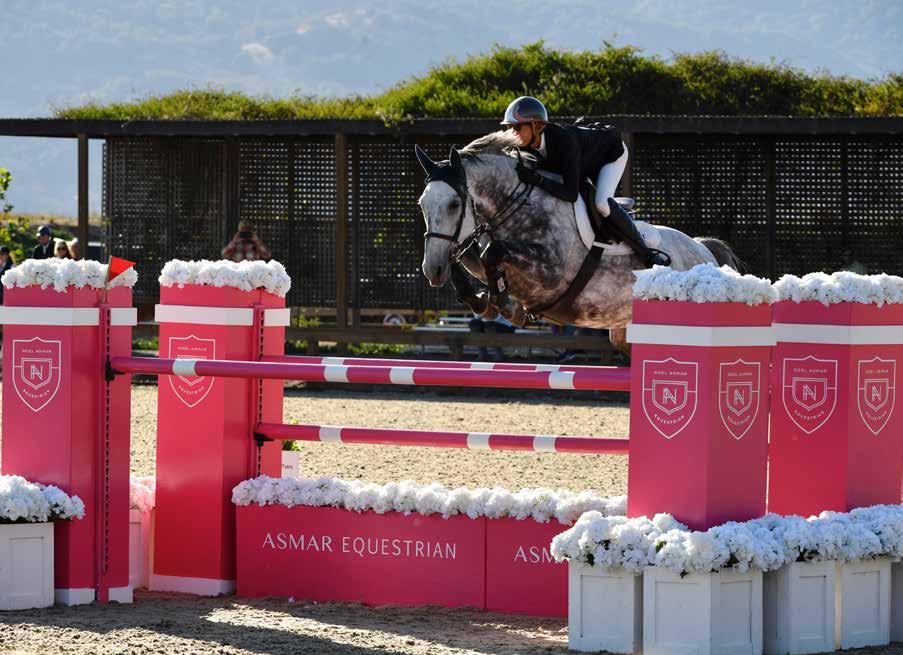 6 million participants - 2 million horses THE VALUE OF SHOW JUMPING This is a sport where corporations can capture an affluent audience as well as the younger participants.