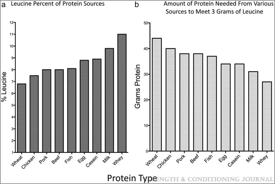 Leucine in protein sources Wilson et al.
