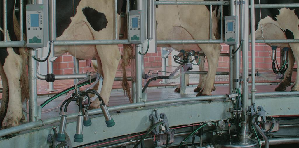 The seamless integration of Metatron 21 and DairyPlan C21 opens up completely new possibilities for optimising your workflows directly at the milking stall.