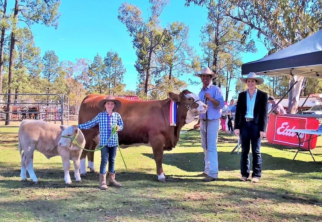 Miles & District Show Society Inc CATTLE