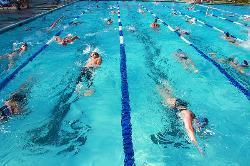 Select Direct Member Login with user 3CTRI (uppercase)and the password Swim Session Swim Swim sessions have been have been on-going since October and the regular members have seen real improvements