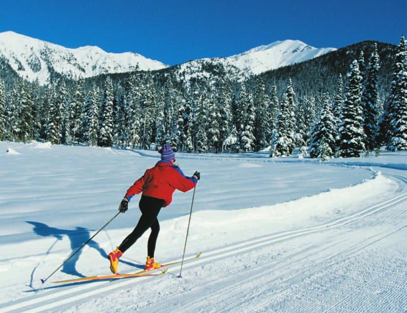 Variations in length, width, shape, base, edge, and flexibility can make ski selection bewildering for a beginner.