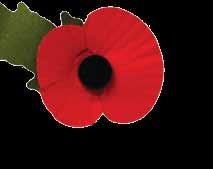 They shall grow not old, as we that are left grow old: Age shall not weary them, nor the years condemn.