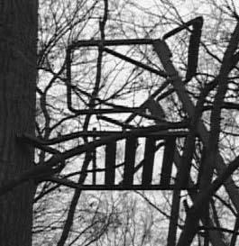 Section 2. Using Your Single Shot Ladder Treestand. WARNING: IT IS REQUIRED THAT AT LEAST THREE PEO- PLE INITIALLY SET UP THE LADDER STAND. ALWAYS USE TWO HELPERS!