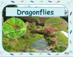 Identify that most living things live in habitats to which they are suited and describe how different habitats