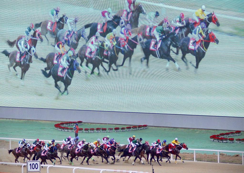 37th Asian Racing Conference SEOUL 2018 About ARF & KRA ARF is the regional body for thoroughbred racing in Asia and was established in 2001 with an aim of Asian Racing Federation (ARF) leading and
