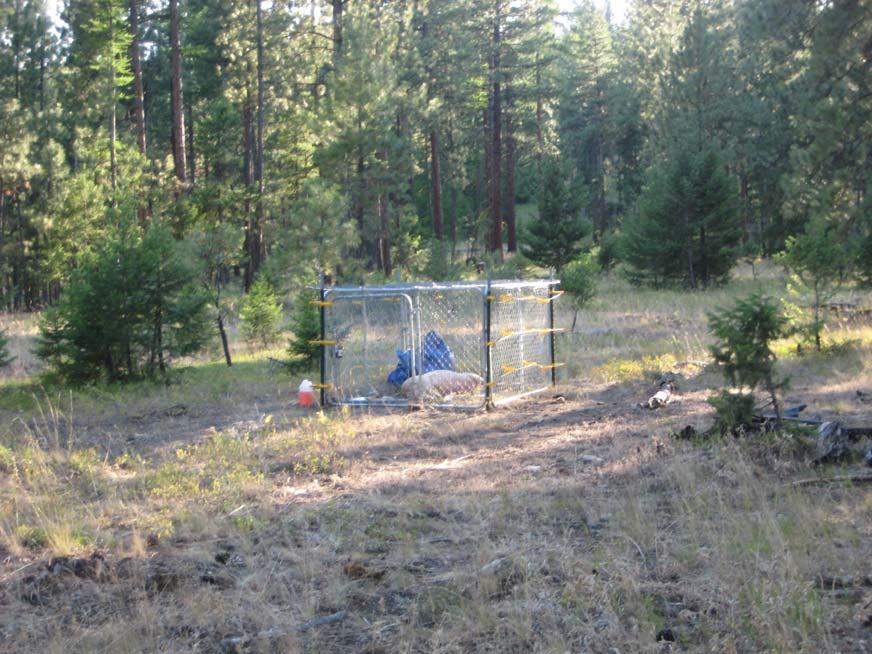 Figure 3: View of perimeter of site with enclosure For added security, each enclosure was wired for electricity using standard electric fence powered by an electric fence battery conducted through a