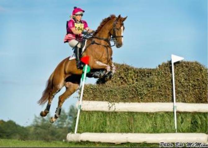 We have courses from BE80cm up to intermediate but we do NOT allow schooling over the intermediate course or any pinned fences or those that will be too much of a question or where