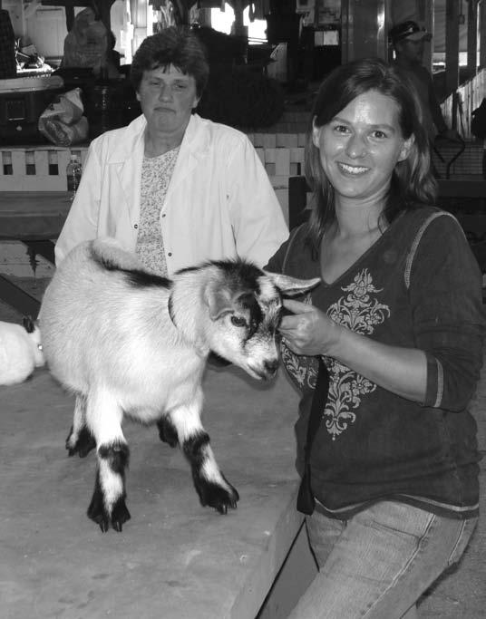 BOOK 577 - PYGMY WETHER GOAT SHOW Pygmy Wether exhibitors may choose to sell the wether in the Junior Fair Auction, except Adult Pygmy Wethers.