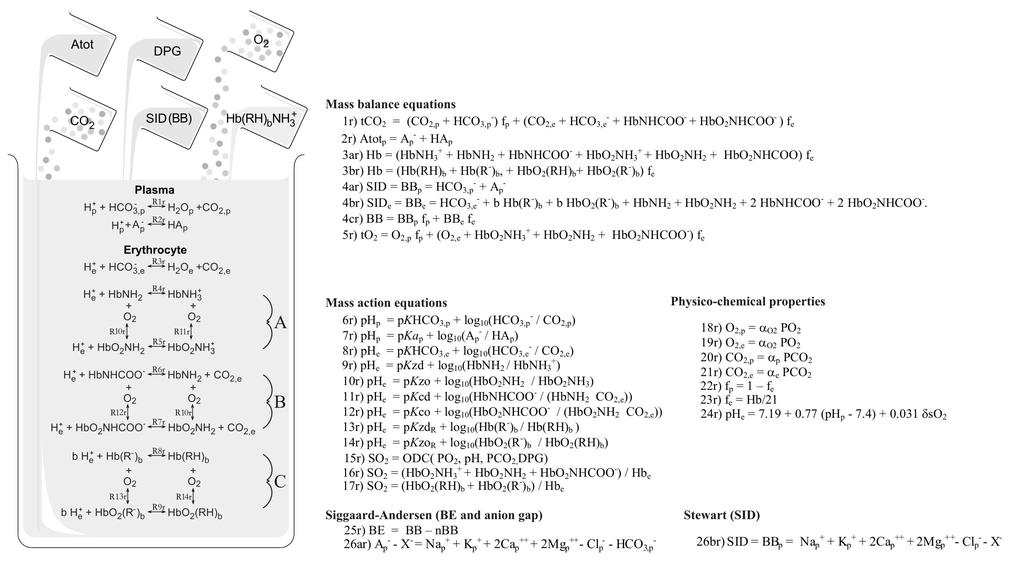 Figure 3 Mathematical model of acid-base chemistry of the blood including mass balance equations 1r-5r; mass action equations 6r-17r; equations describing physico-chemical properties of the blood