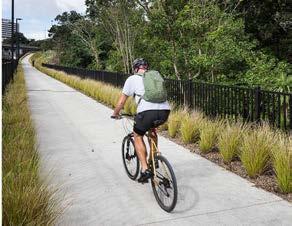 10 Auckland Cycling: An Investment Programme Types of Cycleways PROTECTED CYCLEWAY The type