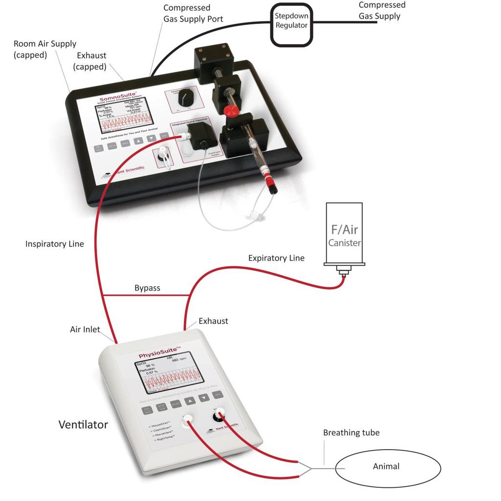 Connecting a PhysioSuite MouseVent Ventilator to a SomnoSuite 8. How do I connect my SomnoSuite to another ventilator?