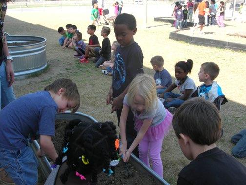 Students planted potatoes and spinach