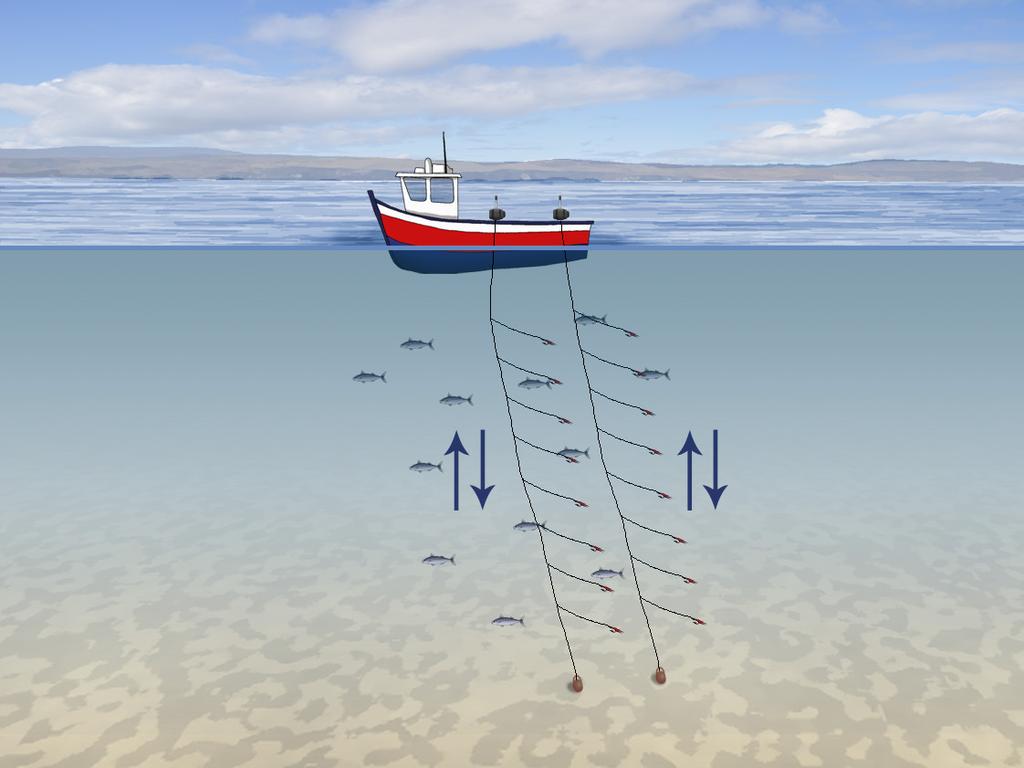 The vast majority of pelagic fish landed by Scottish vessels are caught using pelagic trawls (mid-water trawls).
