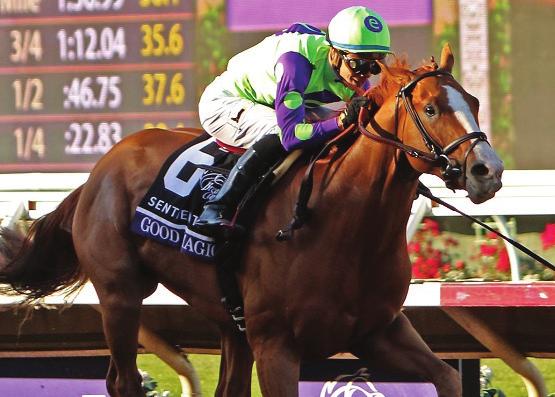 Meet the Xpressbet Fountain of Youth Contenders By Dustin Fabian, Xpressbet.com : It s time for last year s TwoYearOld Champion,, to start getting serious about the Kentucky Derby.