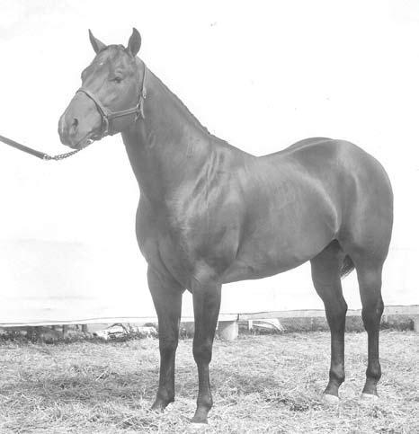 At that point, J.O. s father spoke up and told Hay that he could consider the filly sold, that if his son didn t take her, he would. After my dad said he would take her, J.O. later recalled, I knew I had to have her.
