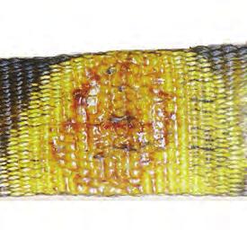 Weld splatter that exposes core yarns 7.Knots in the roundsling, except for core yarns inside the cover.fittings that are pitted, corroded, cracked, bent, twisted, gouged or broken 9.
