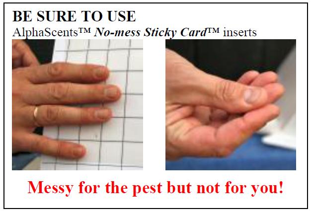 Sticky trap removal New hard-tack or no-mess adhesive sticky traps Less mess (can handle without gloves)