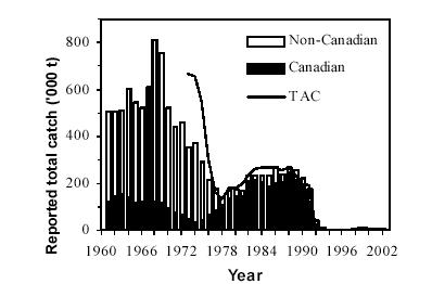 3L. These estimates are considered to be independent of unreported catch. According to Canadian stock assessment data, the inshore SSB decreased since 1998 when the fishery reopened.