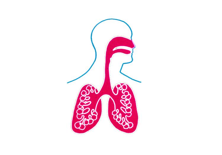 Airborne Hazards Affect Health Short-term effects Coughing Difficulty breathing/asthma Nausea
