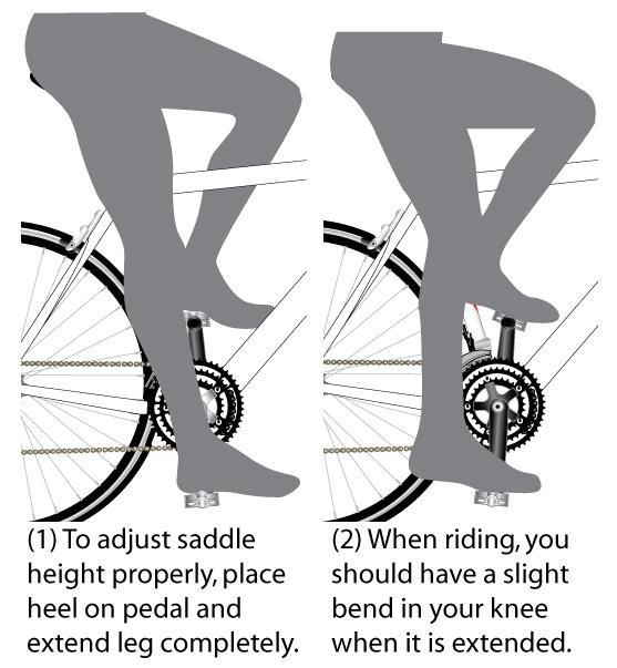 3 - Assembly: Step 6 - Attach Additional Reflectors (2) Adjust Seatpost Height (Recommended) (See Figure 12). Exact saddle height is largely a matter of personal preference.