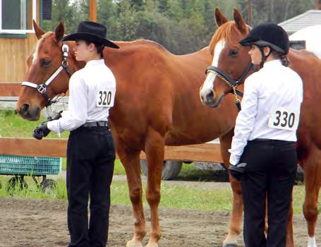 UNIVERSITY OF ALASKA FAIRBANKS Judging Halter Horses (From the Top Down) LPM-008 UNIVERSITY OF ALASKA FAIRBANKS Conscientious halter horse judges must know all the important and relevant points about
