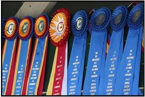 USEF Rules Review the rule book