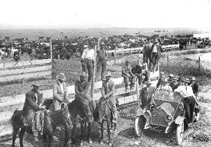 Cattlemen, cowboys, and a herd of cattle in Haskell County. A young girl and a flock of turkeys on an unidentified farm.