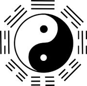 A Taoist/Confucian philosophy representing the fusion of Yin and Yang as the Tai Chi, the supreme ultimate Philosophy is not to directly fight or resist an incoming force, but to meet it with