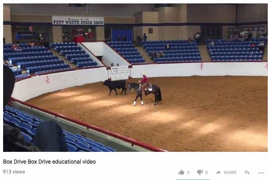 the SHTX World Show, Western Horseman magazine has on many occasions featured articles about various SHTX members and other matters concerning SHTX.