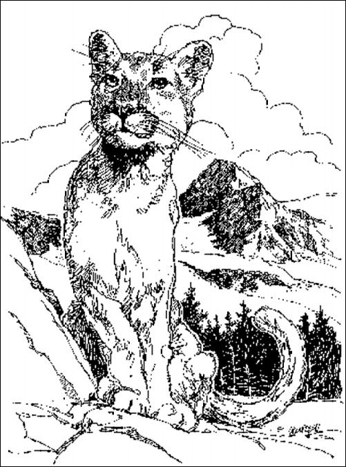 The Kaibab story of Leopold centered around the predator.