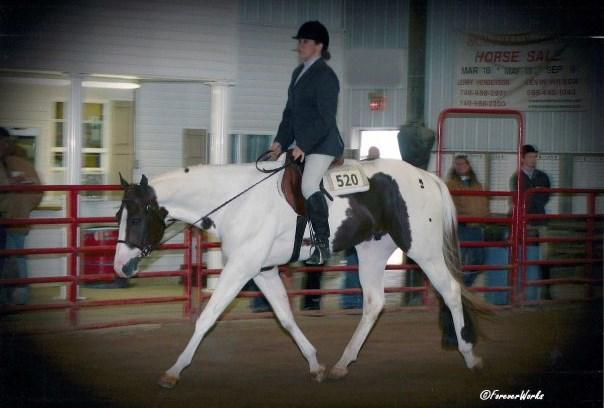 Justifiable-APHA PtHA-15.2H Sire Mr Be Downtown Dam Par Te Time Rose Hez N Command-AQHA-16.