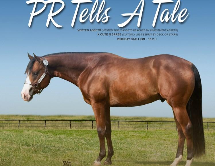 RHF ONE FANCY PHANTOM THE GIFT OF MIDAS Page 4 That s A Cool Dude-APHA,AQHA-16.2H Sire Very Cool Dam JBS ShesprettyNprint 2017 PtHA 3 yr. World Champion-Open and Ammy.