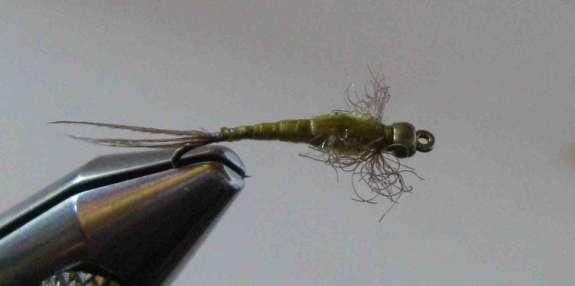 Pheasant Tail He used Hula Skirt for the body and the wing