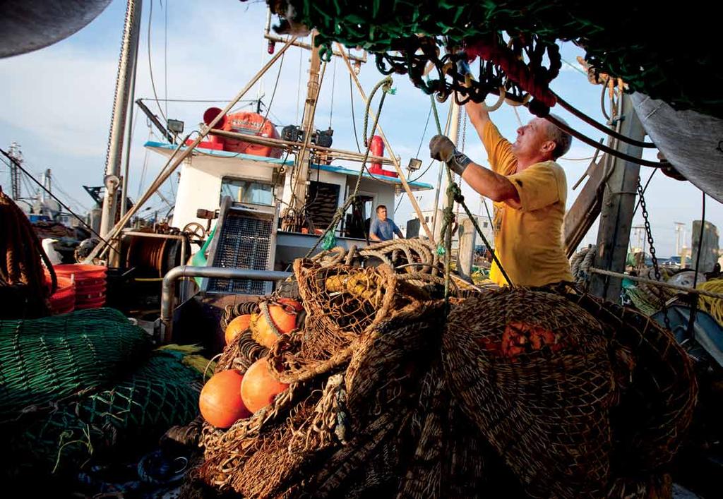 WHY WE WORK ON oceans By offering fishermen a financial stake in the health of fisheries, we can revive