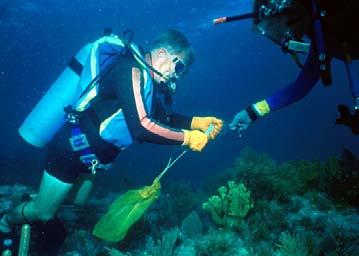 Others break off pieces of live coral to take home as souvenirs or to sell. This officer s job is to watch and protect coral reefs. Boats sometimes break off large chunks of coral.