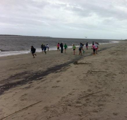 Seashore Discovery Walk Students walk the tidelines in search of treasures washed up on