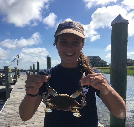 Marsh Blue Crabs Students learn about the anatomy and behavior of the Atlantic Blue Crab and