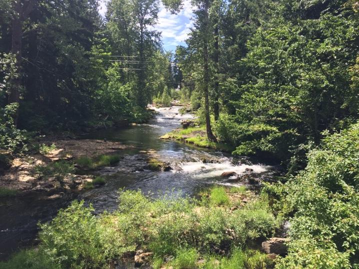White Salmon River Watershed Other Conditions Wild and Scenic