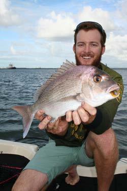 Snapper just love eating soft plastics on the drop (when the plastic is sinking) and jerk bait style plastics when rigged dead straight on a light jighead have a gliding action that big snapper can t