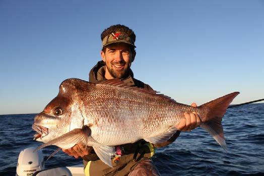 Where to find Snapper Snapper are found right around the bottom half of the Australian Seaboard and their