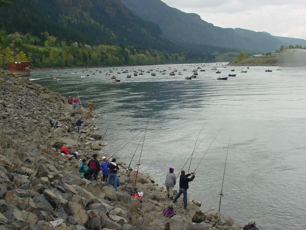 Columbia River Fisheries Management Estimating