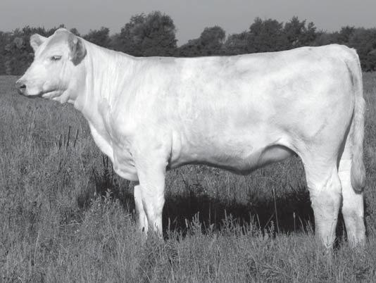 Presented by Eggleston s Charolais, Wessington, SD 605-883-4602 5 EC Lilly 119 P MARCH 17, 2011 POLLED PENDING WCR Sir Tradition 066 M6 Grid Maker 104 P ET VCR Miss Mac IV 317 EC Sturgis 2004 P
