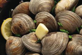 5 lb, Cull* Live MUSSELS 509547 Mussel Usa Live Cultivated* 1/10 lb 537738 Mussel Pei