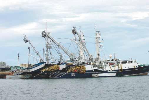 In Guam and the Northern Mariana Islands, domestic tuna fisheries are limited, but landings, transshipment and processing of tuna catches from distant water fishing nation fleets in Guam are