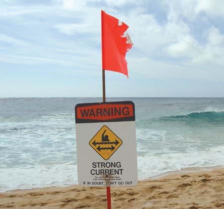 RIP CURRENTS This course is not intended to prepare lifeguards to work at surf waterfront environments; however, it is important for all lifeguards to understand the dangers of rip currents and to